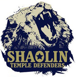 Shaolin Temple Defender