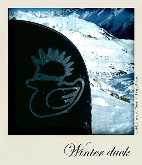 snowboard-laspid