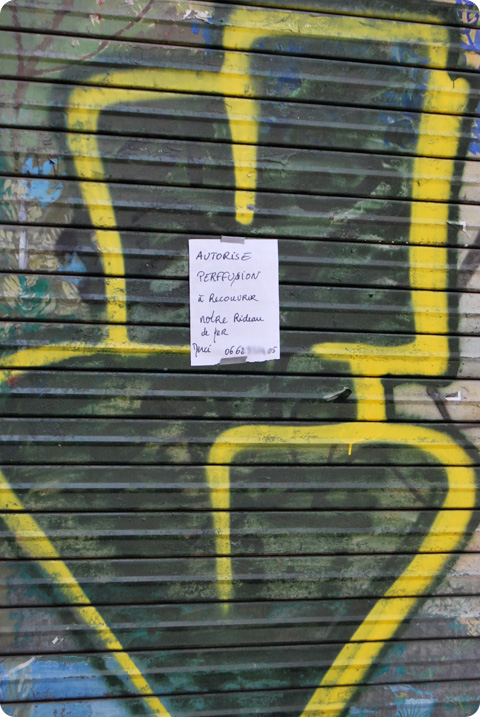 perffusion-lyon10