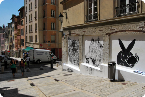 perffusion-lyon8
